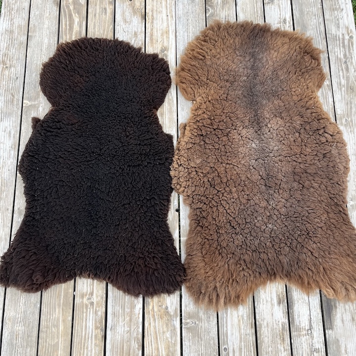 Sheepskin - Brown