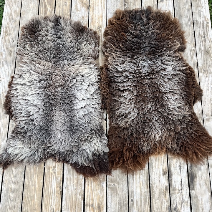 Sheepskin - Brown - Multicolor
